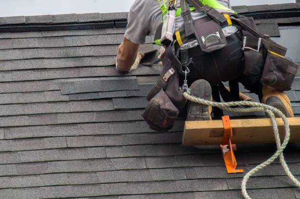 Best Roof Gutter Cleaning  in Franklinton, LA
